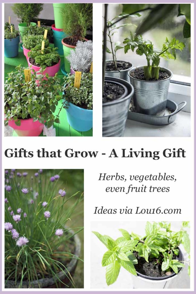 Gifts that grow - herbs, salad greens, vegetables or even fruit trees.